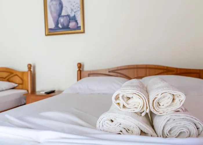 Dhipali 게스트하우스